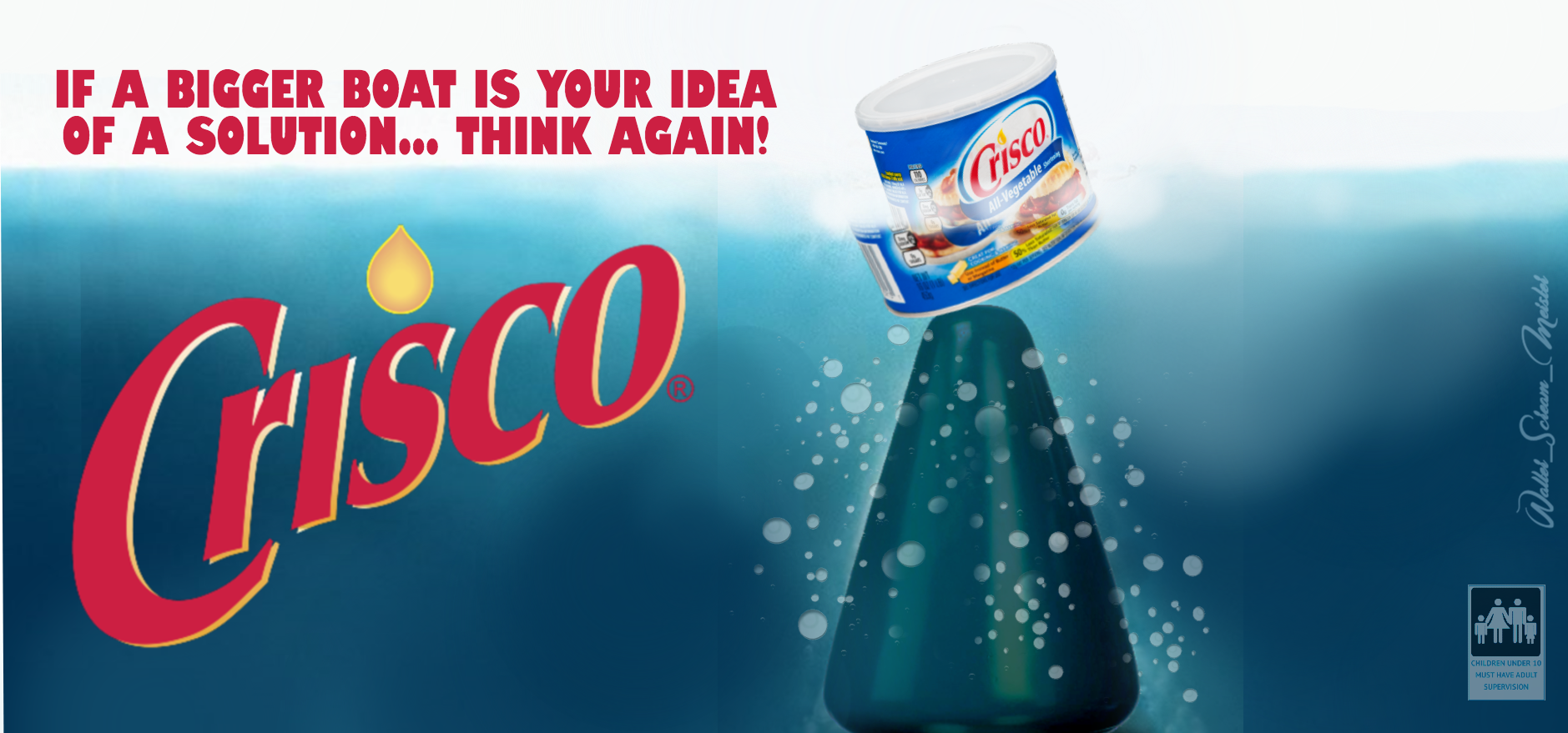 anal solution CRISCO final